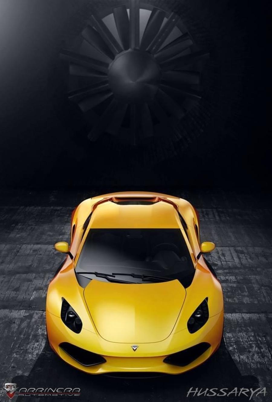  Arrinera Hussarya 2014 года  (фото 4 из 7)